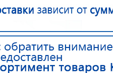 СКЭНАР-1-НТ (исполнение 02.2) Скэнар Оптима купить в Дедовске, Аппараты Скэнар купить в Дедовске, Дэнас официальный сайт denasolm.ru