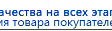 СКЭНАР-1-НТ (исполнение 01 VO) Скэнар Мастер купить в Дедовске, Аппараты Скэнар купить в Дедовске, Дэнас официальный сайт denasolm.ru